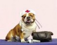 LA STERILIZZAZIONE